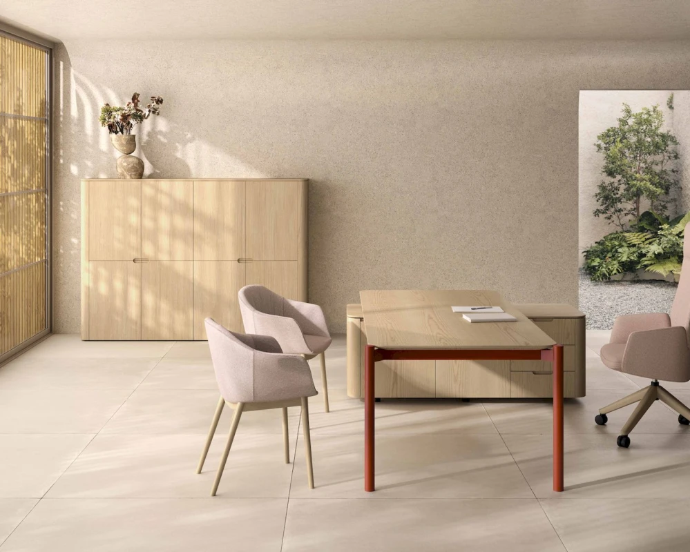 Кабинет руководителя Terra (of)