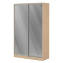 отзыв Шкаф купе 1,2 м с двумя зеркальными дверями ПК-ШК-КМШ240Х120СЗ2-В1 Технофорвард